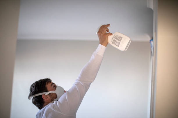 Attic Mold Removal in Encinal, TX