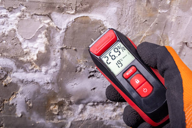 Best Certified Mold Removal  in Encinal, TX