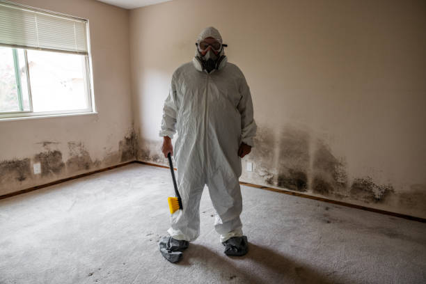 Best Mold Remediation Services  in Encinal, TX